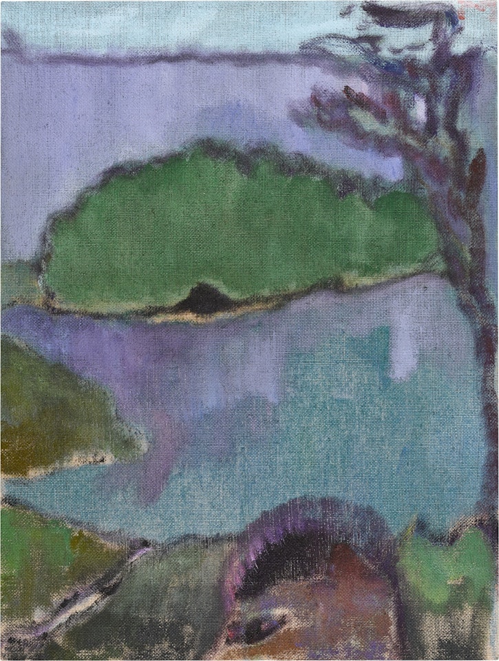 SAUT D’EAU by Peter Doig