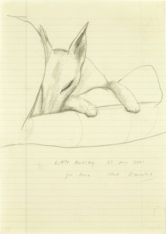 LITTLE AUDREY by David Hockney