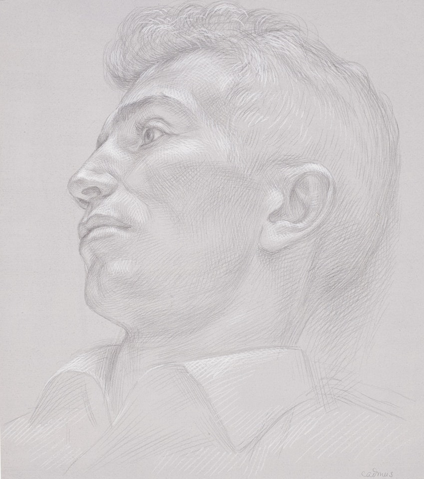 Head by Paul Cadmus