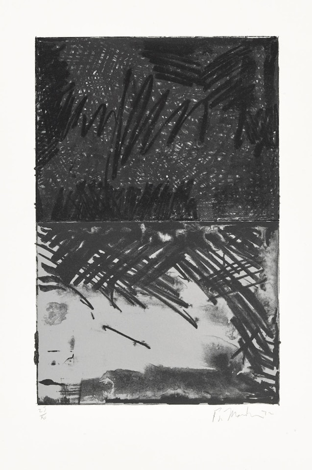 Untitled Press: plate #3 by Brice Marden