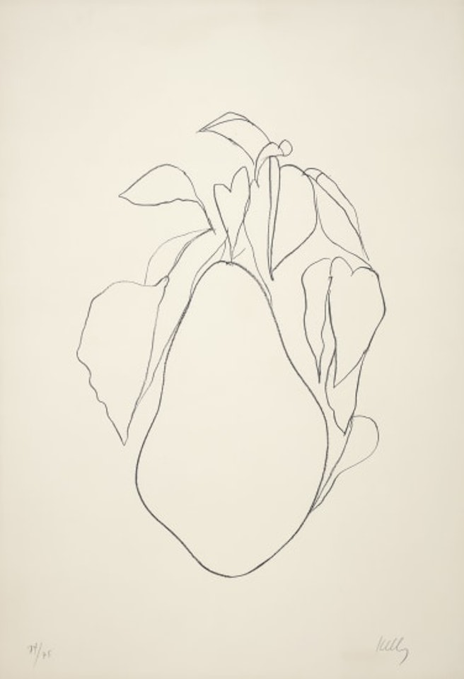 Pear II (Poire II), from Suite of Plant Lithographs by Ellsworth Kelly