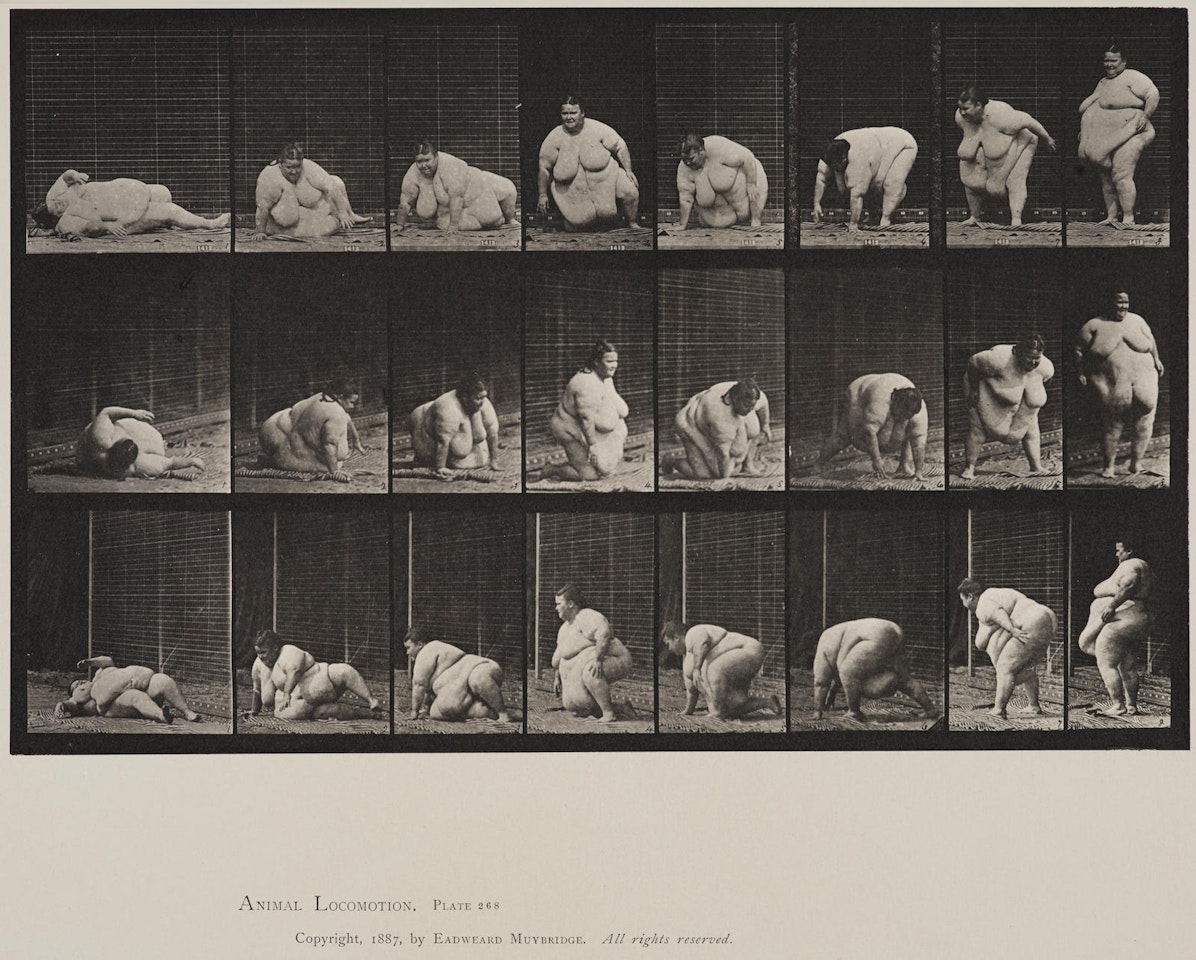 Plate 268 from "Animal Locomotion" by Eadweard Muybridge