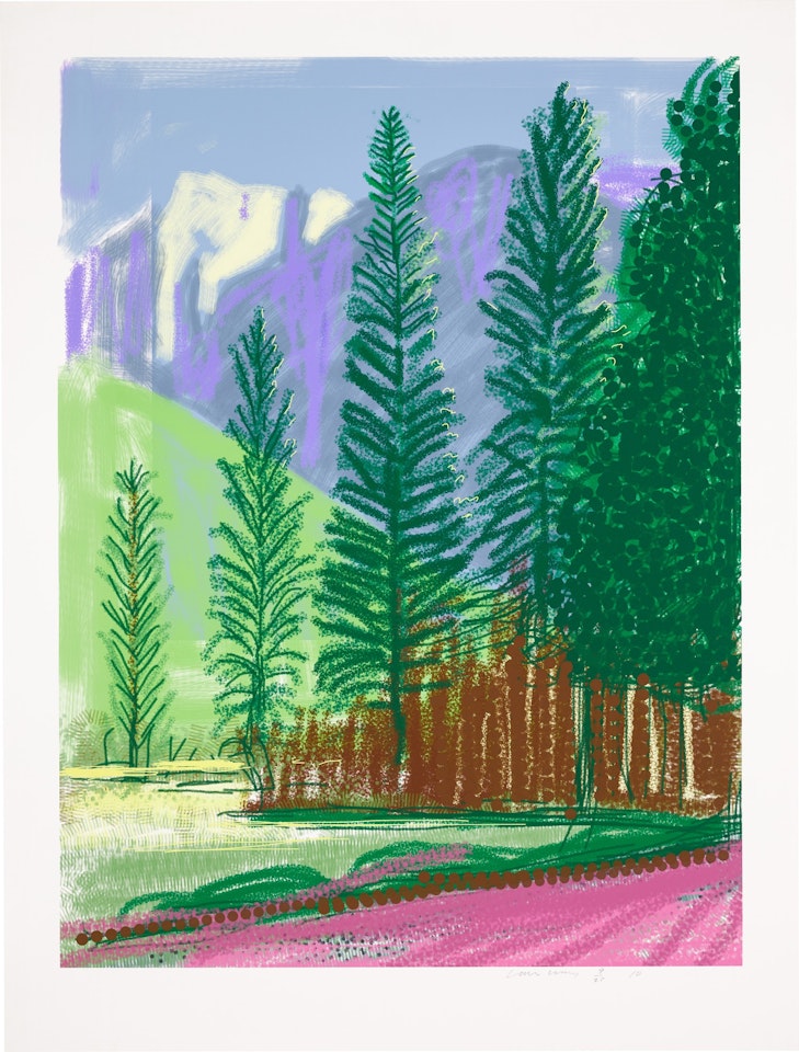 UNTITLED NO. 12 by David Hockney