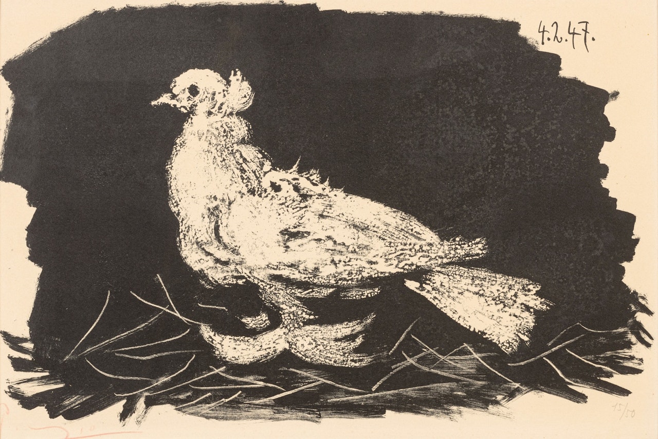 PIGEON BLANC FOND NOIR (B. 420; M. 65) by Pablo Picasso