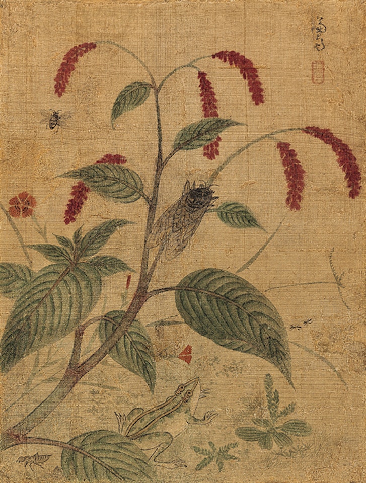 Flowers & Insects by Chung Sun