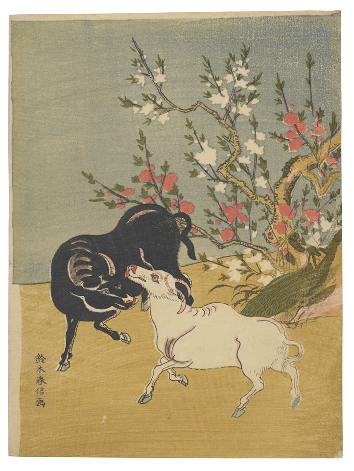 Black and White Oxen Under Blossoming Plum Tree by Suzuki Harunobu