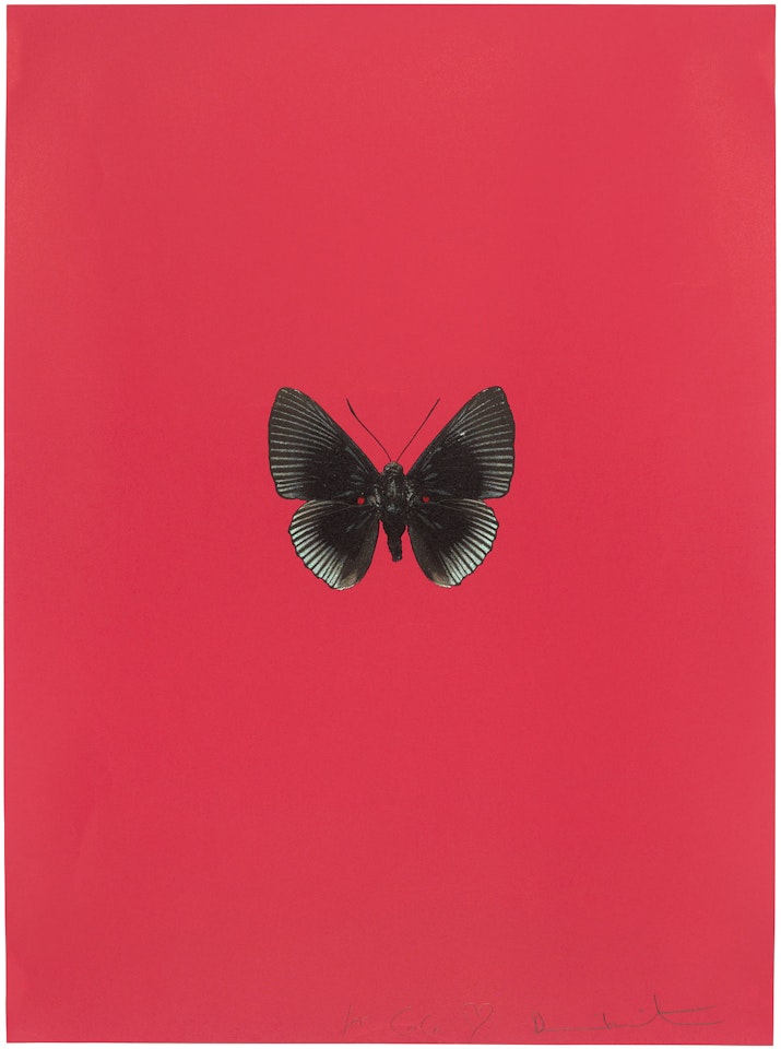 One Plate (Red), from the series: It's a Beautiful Day by Damien Hirst