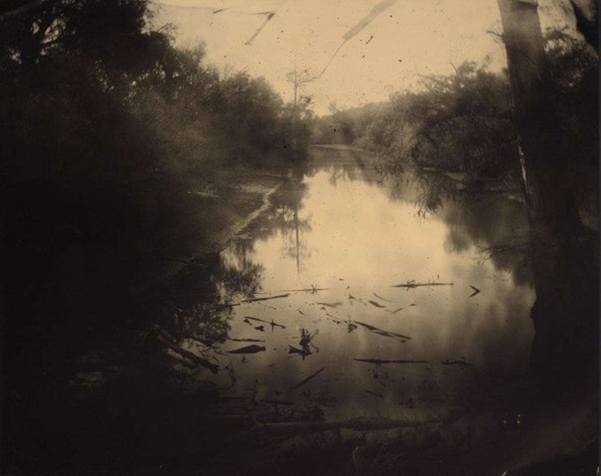 Untitled #13 from Deep South by Sally Mann
