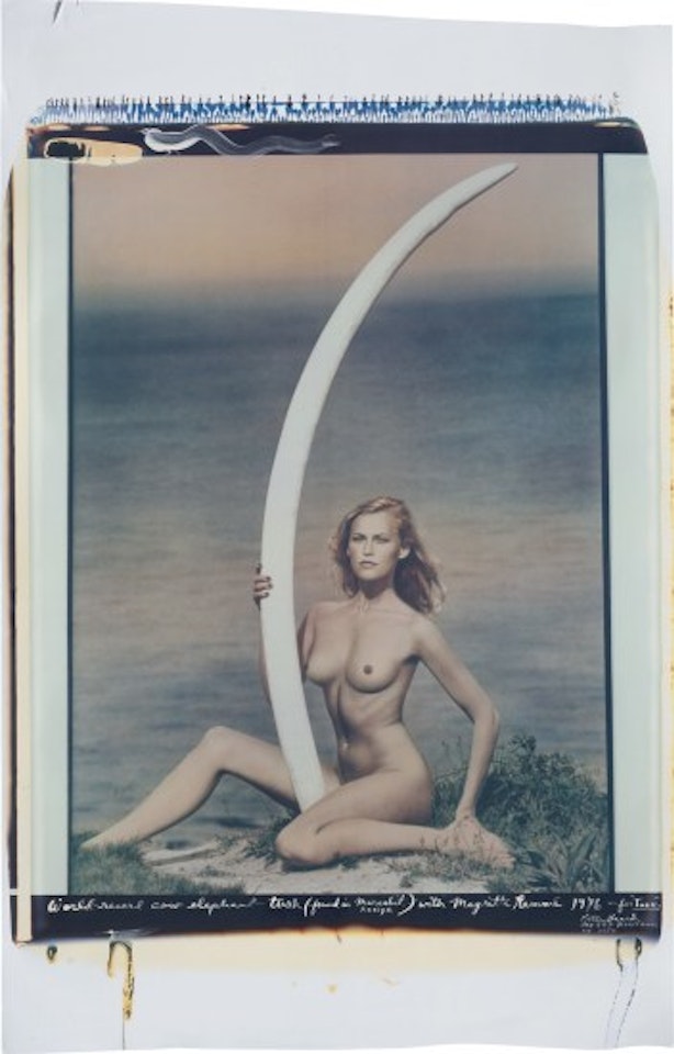 World-record cow elephant tusk (found in marsabit Kenya) with Magritte Rammé – for “Tusk” by Peter Beard