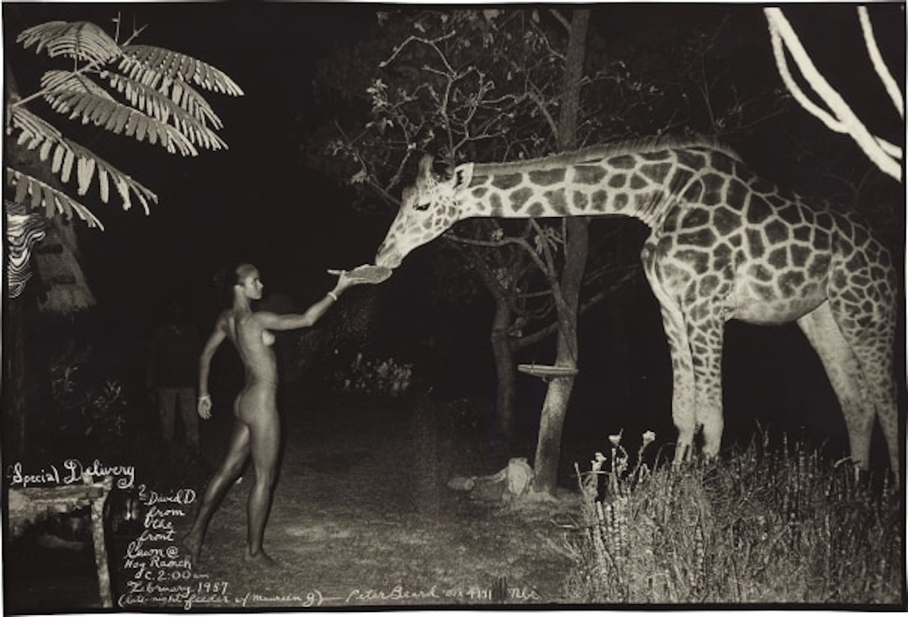 Maureen and a late-night feeder, 2:00 am, Hog Ranch by Peter Beard