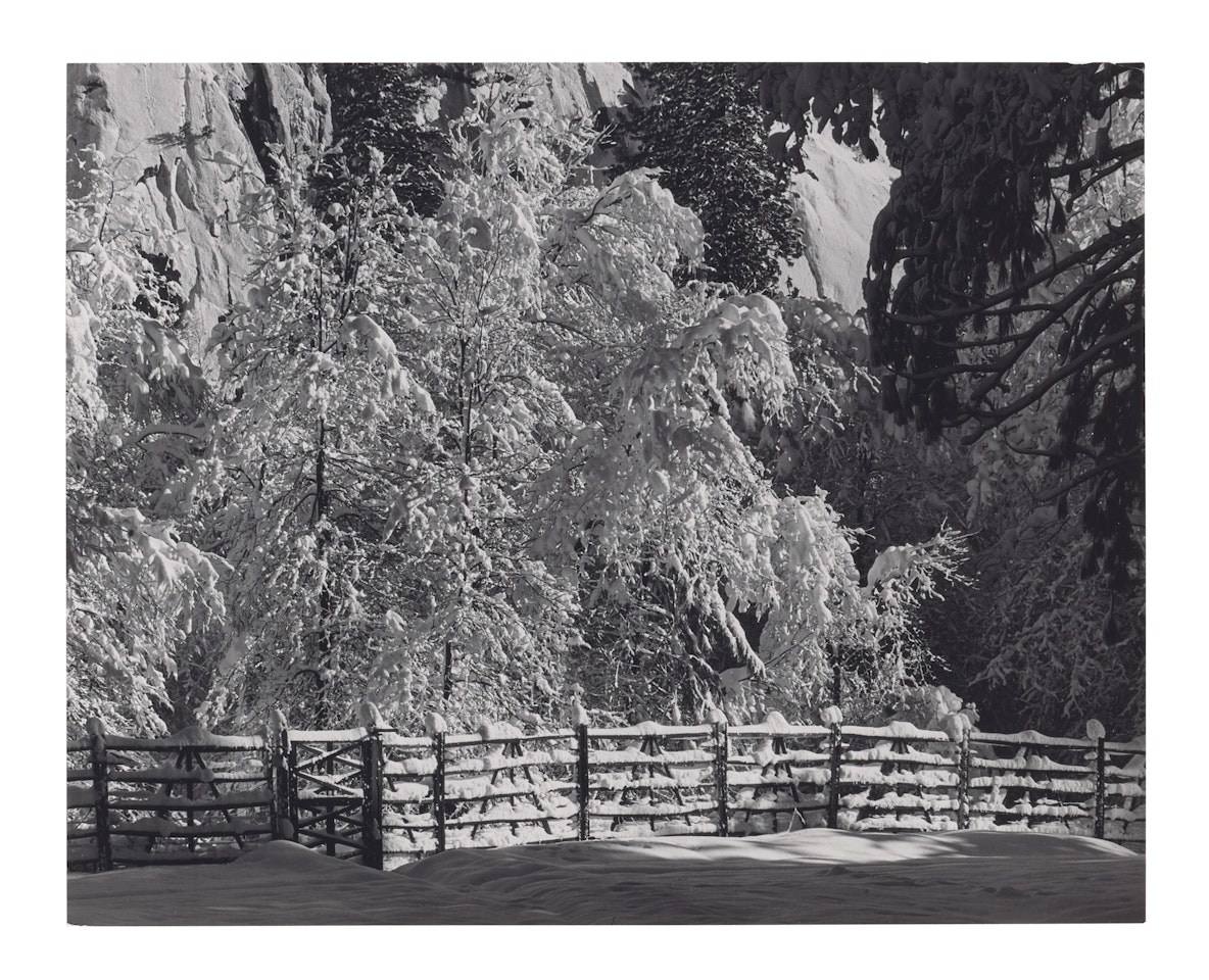 Trees and Fence, Winter, Yosemite National Park, California by Ansel Adams