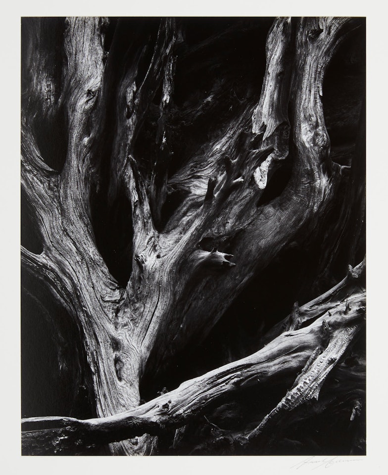 "Portfolio IV: What Majestic Word, In Memory of Russell Varian" by Ansel Adams