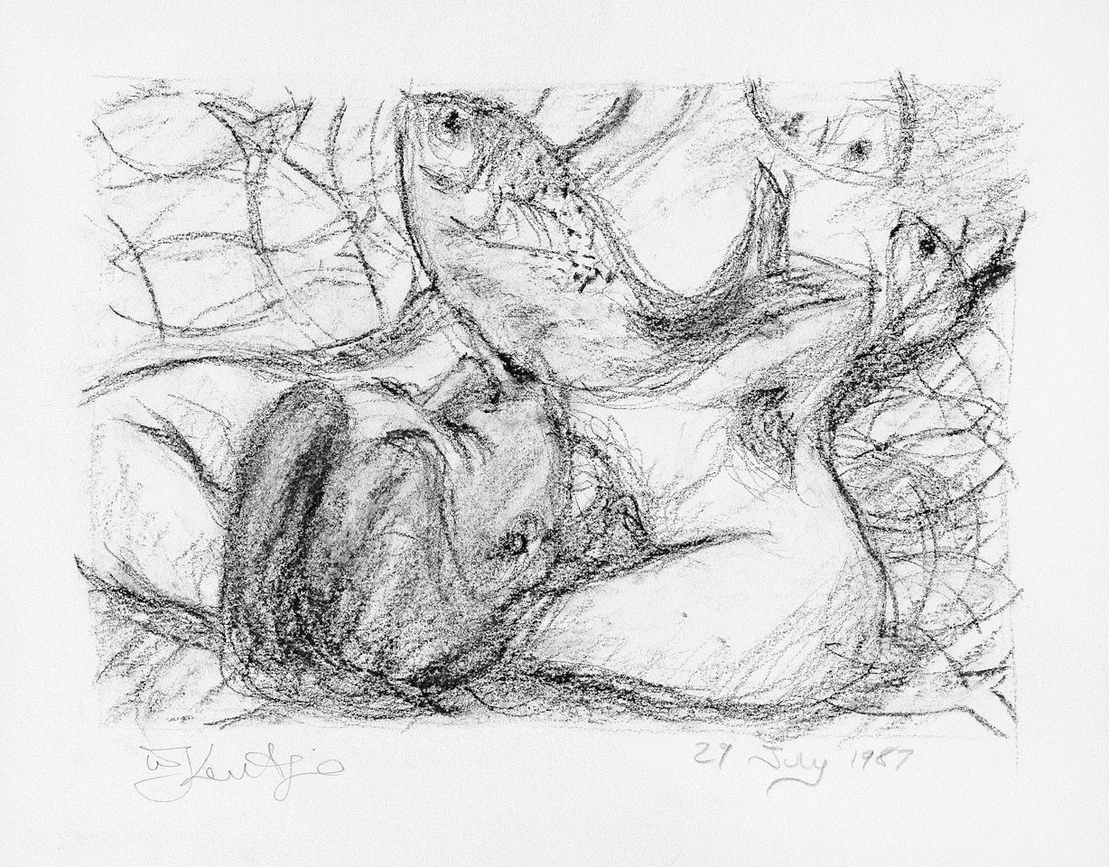 Woman and Fish by William Kentridge