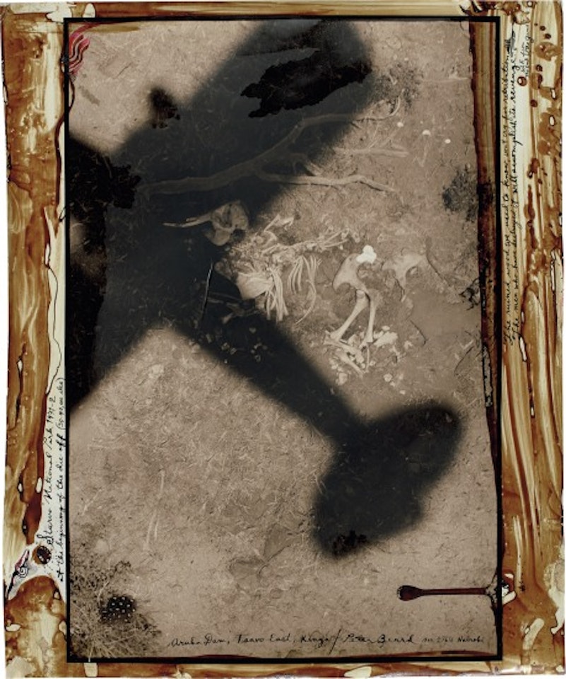 Starvo National Park at the beginning of the die-off (30-40,000 eles), Aruba Dam, Tsavo East, Kenya by Peter Beard