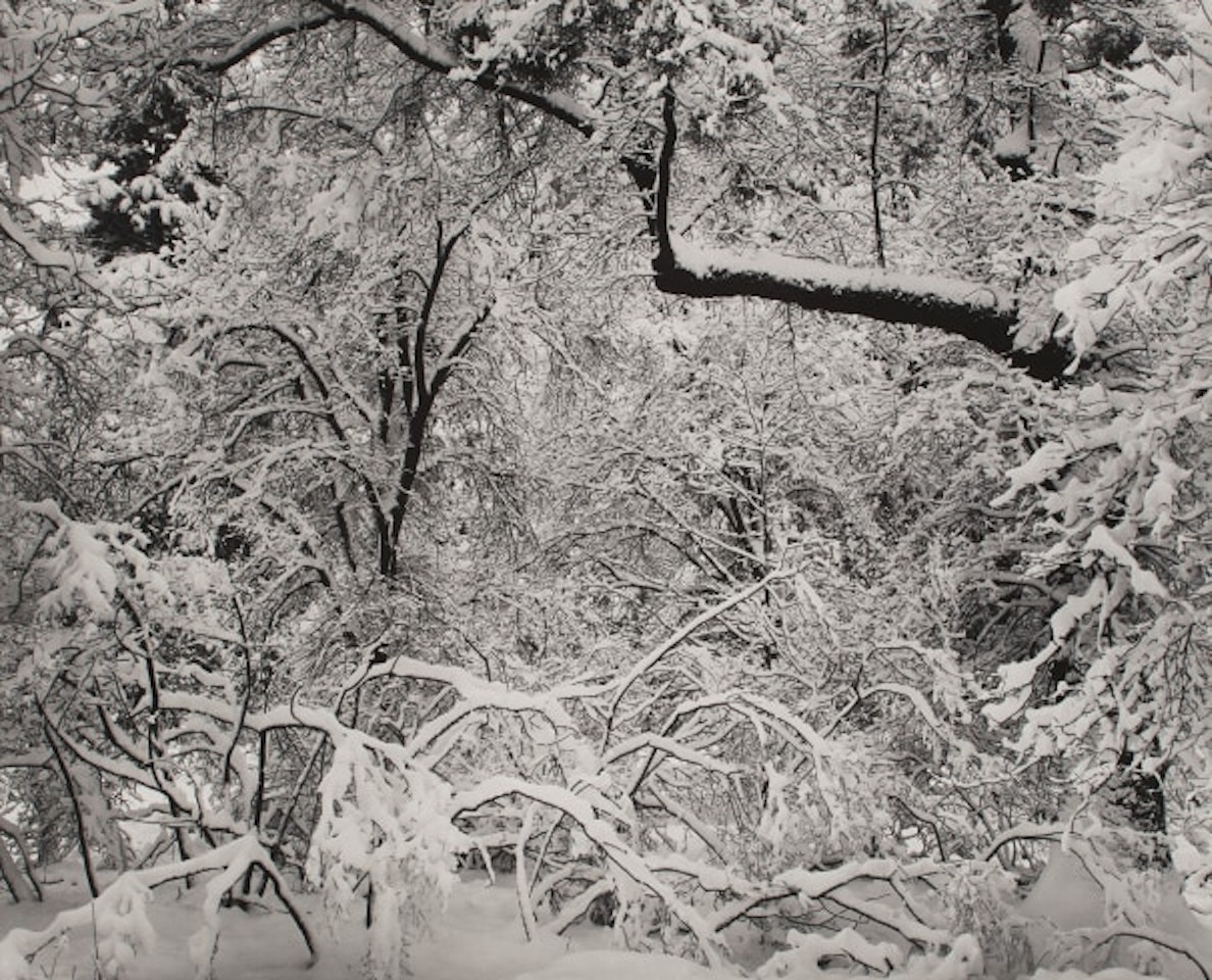 Fresh Snow, Yosemite Valley, California by Ansel Adams