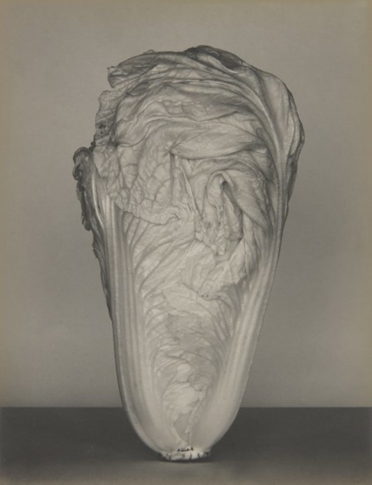 Chard by Edward Weston
