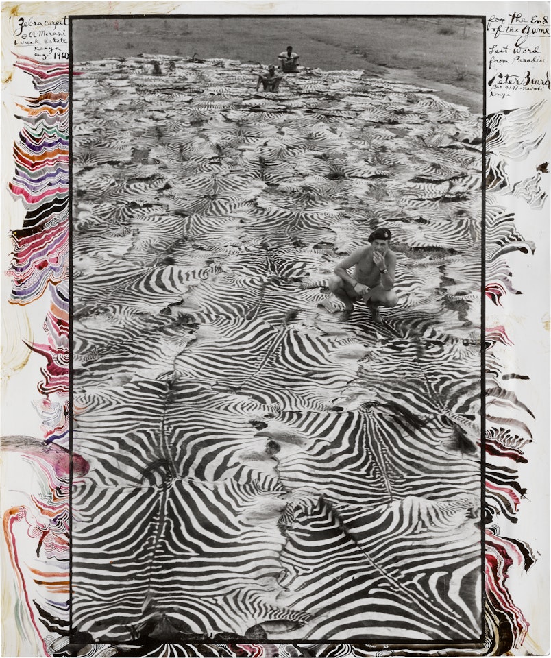 'ZEBRA CARPET', OL MORANI, LARIAK ESTATE, KENYA, AUGUST 1960 by Peter Beard