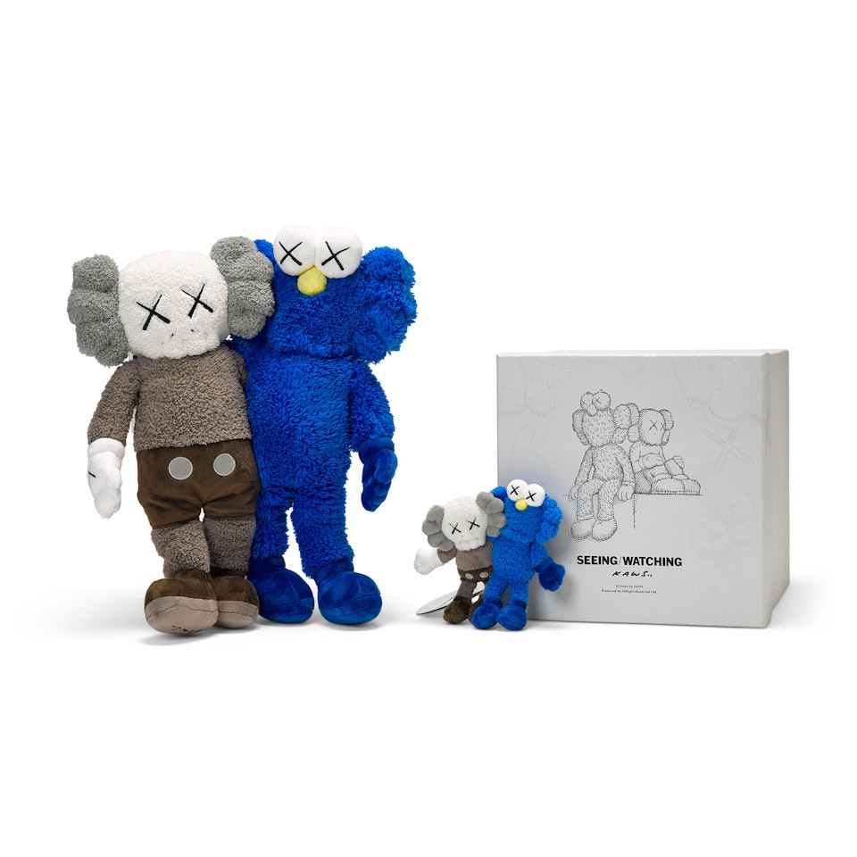 Seeing/Watching by Kaws