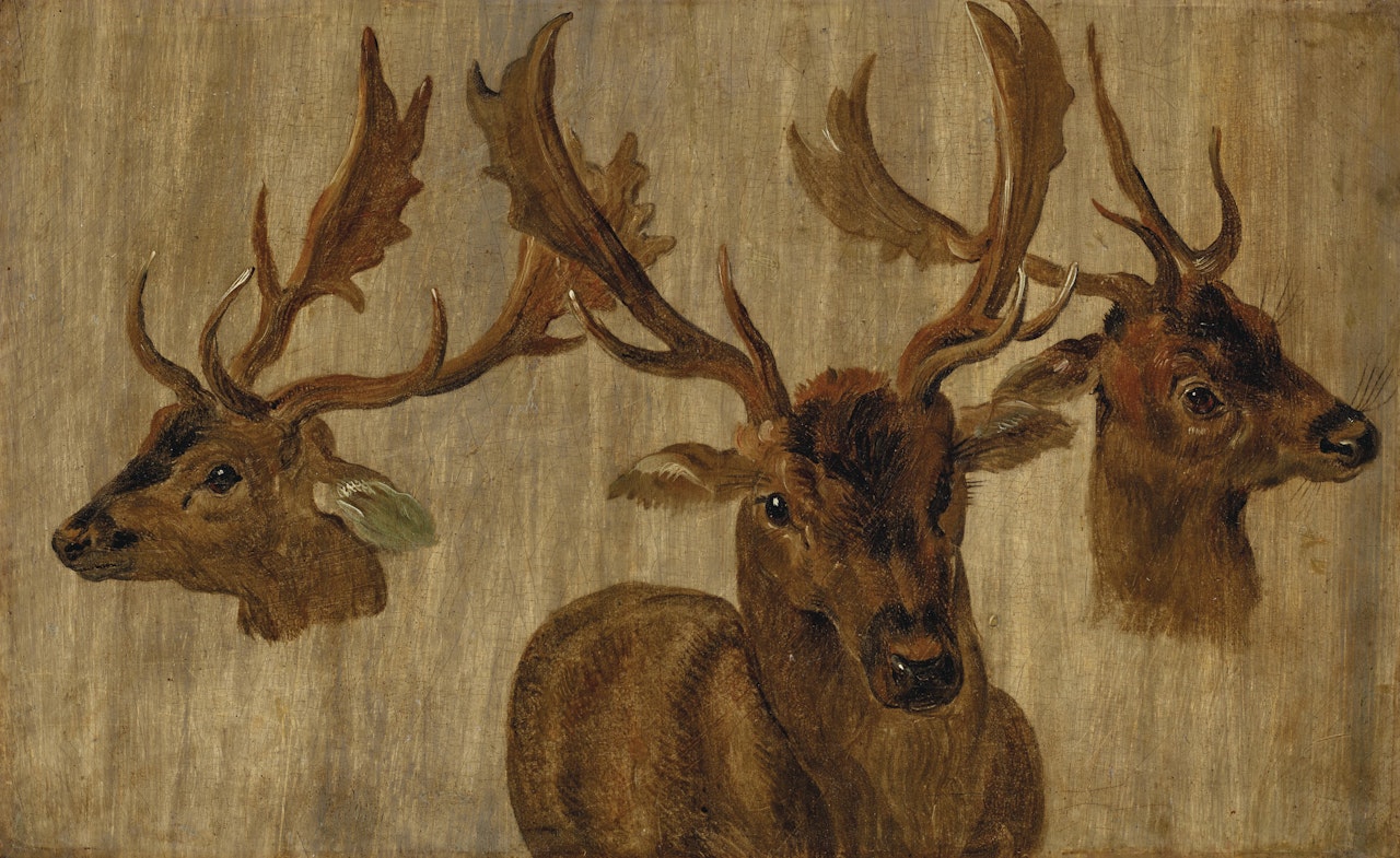 Three studies of a stag's head by Jan Brueghel the Younger