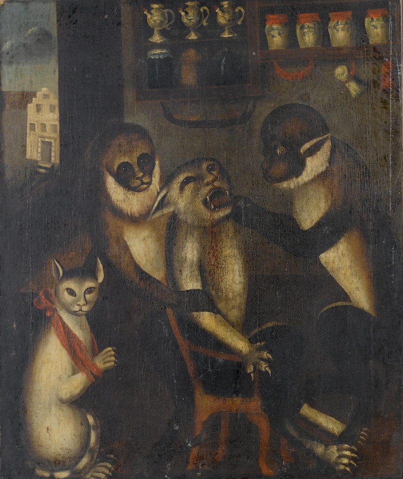 A cat attending a monkey dentist by English School