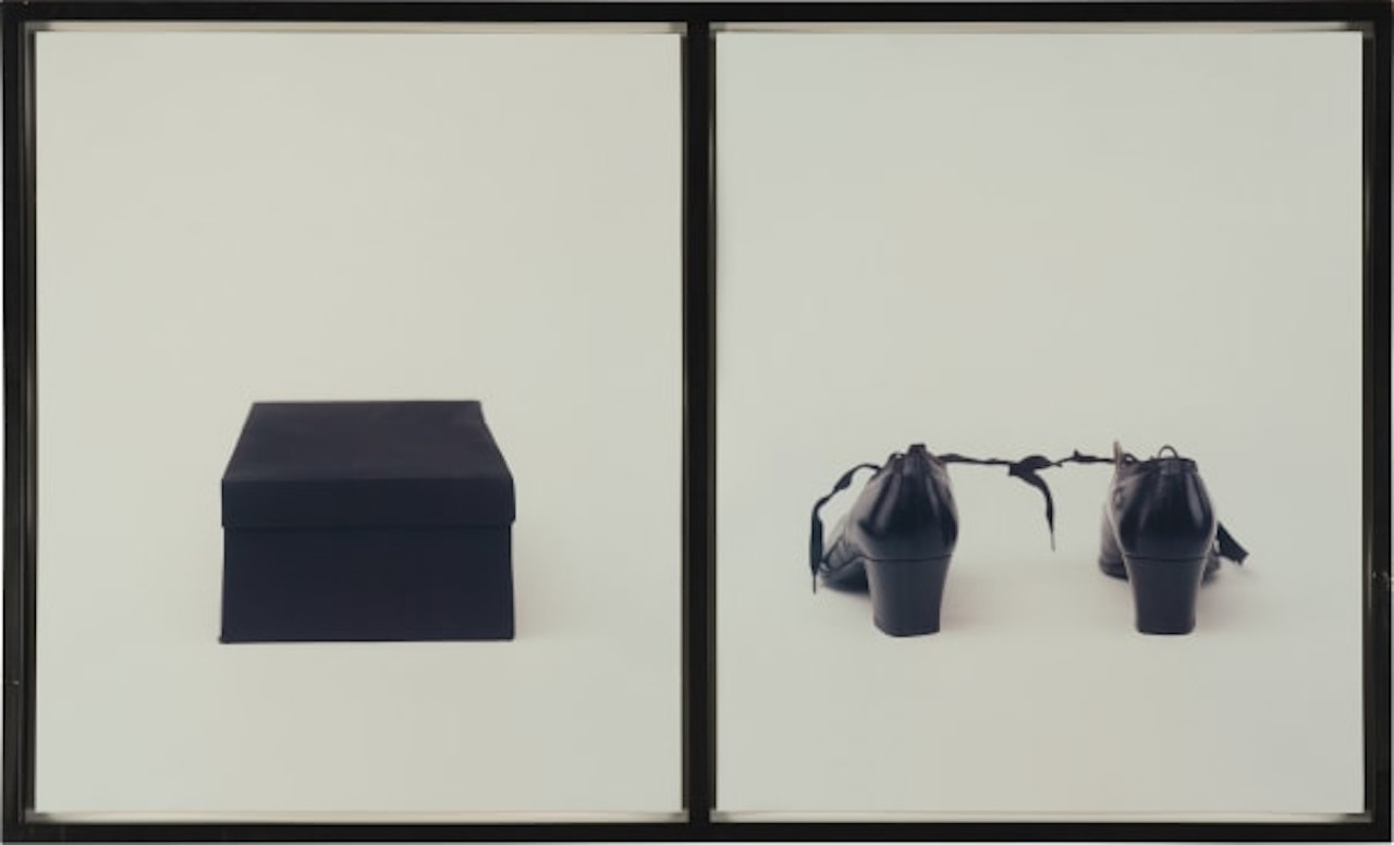 Practical Joke by Lorna Simpson