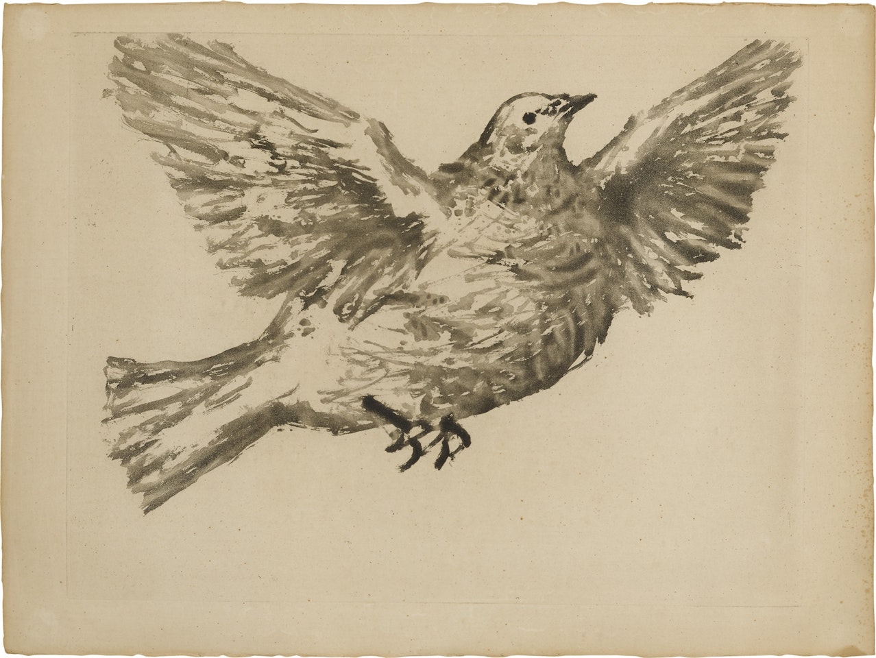 PIGEON EN VOL (BA. 898) by Pablo Picasso