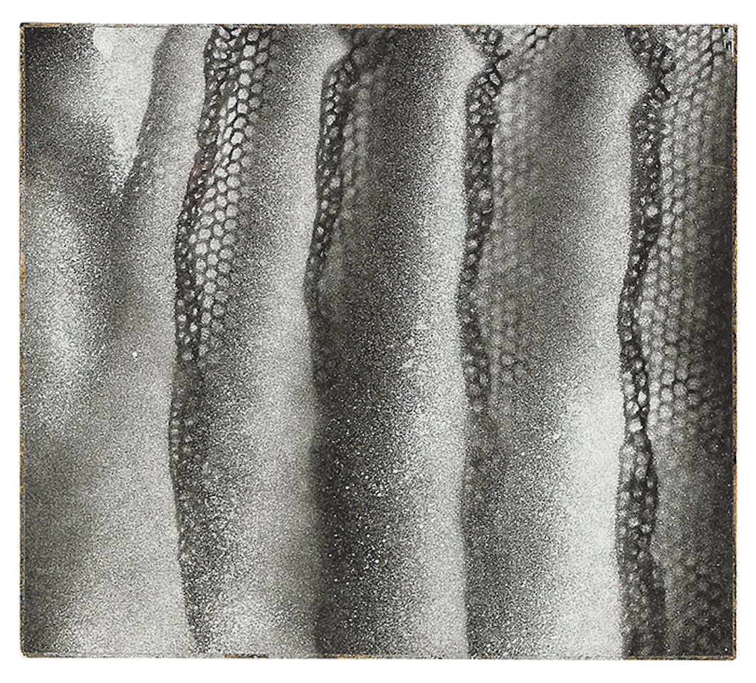 Wind by Yayoi Kusama