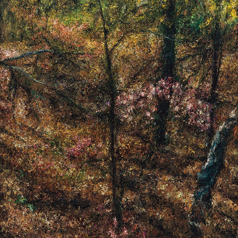 SpringⅡ by Oh ChiGyun