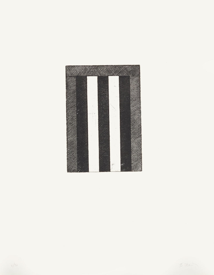 1 Plate (E),  from 12 Views for Caroline Tatyana (L. 29e) by Brice Marden