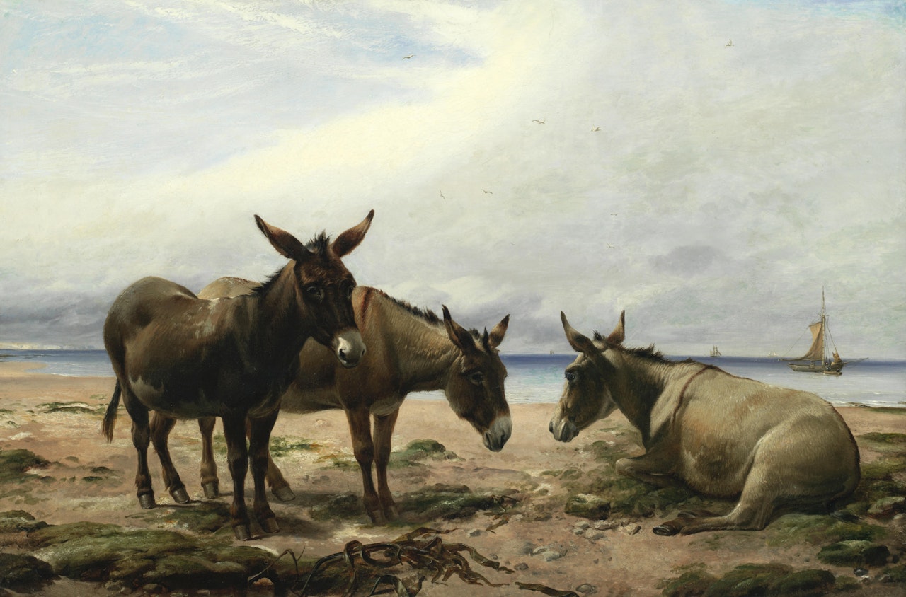 Three donkeys on a beach by Thomas Sidney Cooper