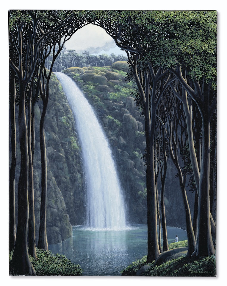 Cascada y contemplador by Tomas Sanchez