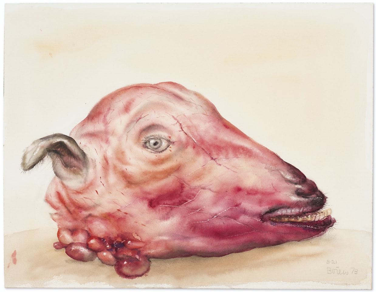 Head of a Sheep by Fernando Botero