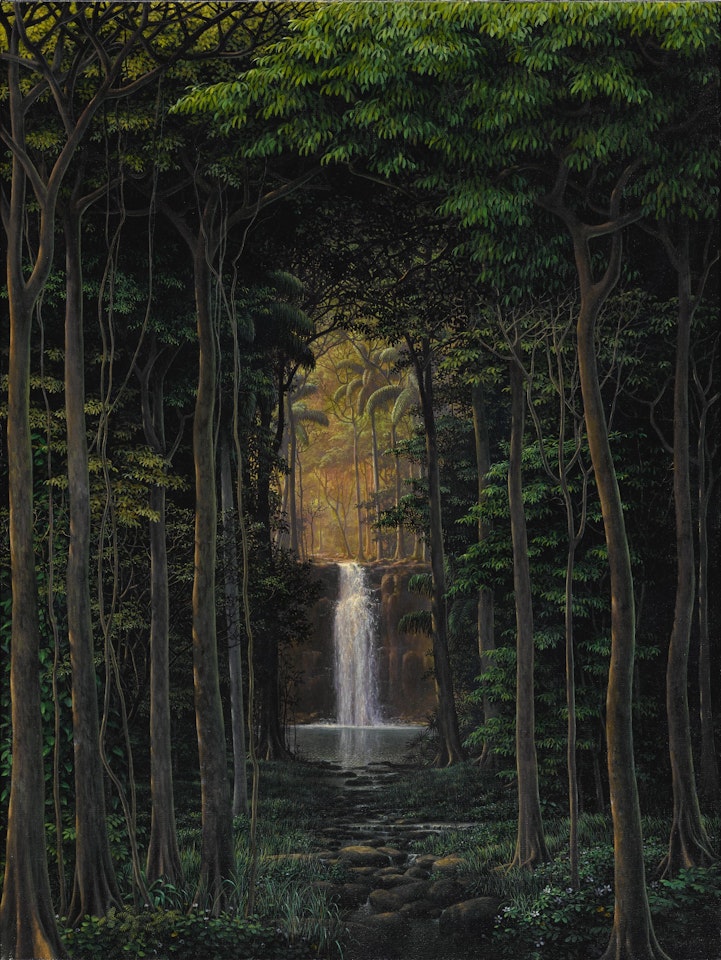 Cascada interior by Tomas Sanchez