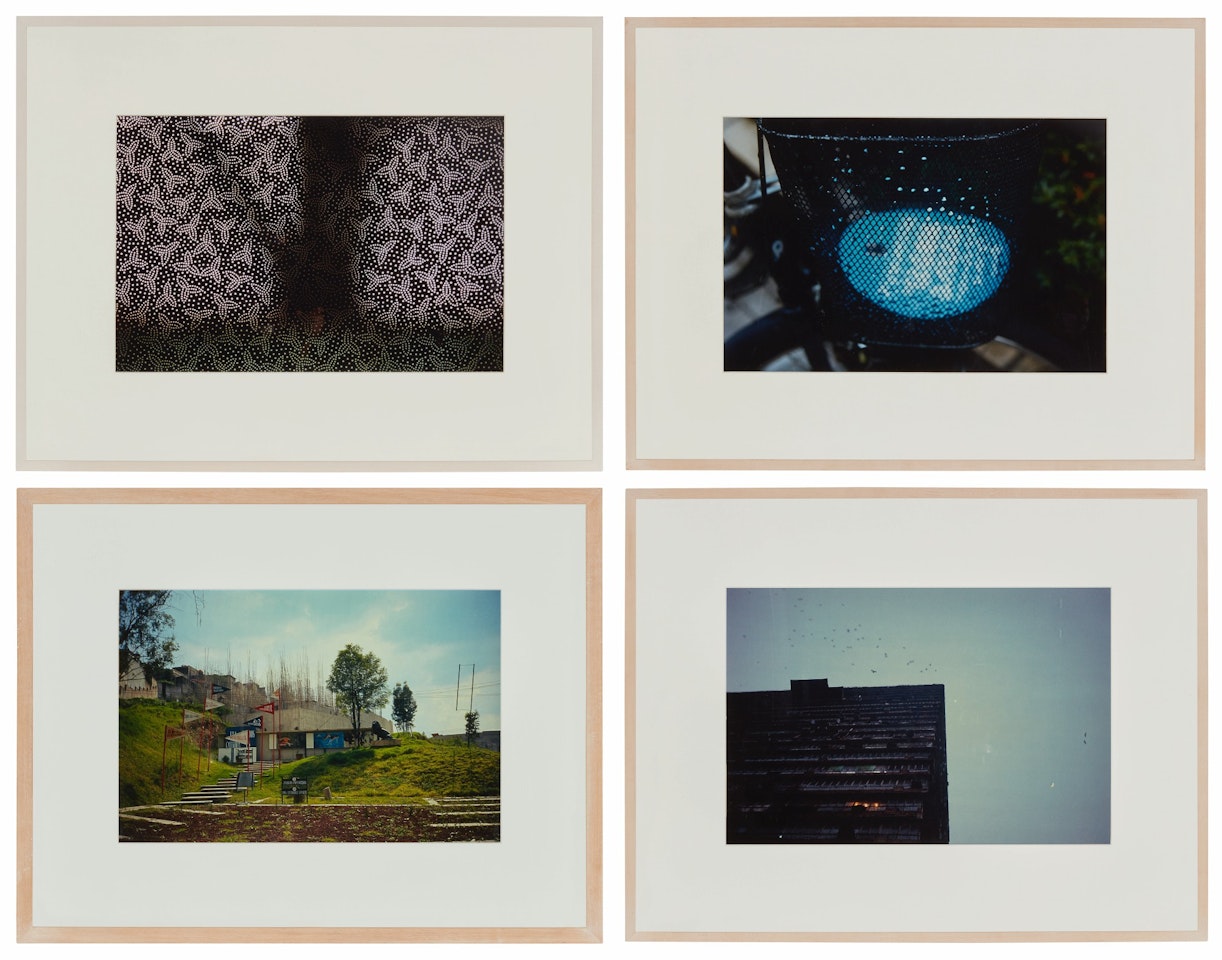 i. Castillo en el aire o el leon de la plusvalia
ii. Tree through Leaves
iii. Building and Birds
iv. lluvia en Tokio [Four Works] by Gabriel Orozco