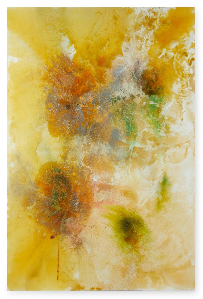 Flammulina Velutipes by John Armleder