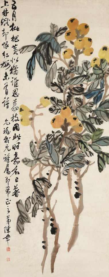 Loquats by Chen Banding