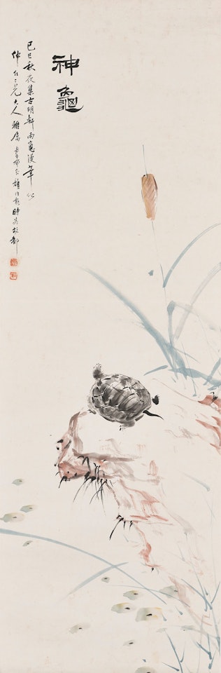 Turtle by Yan Bolong