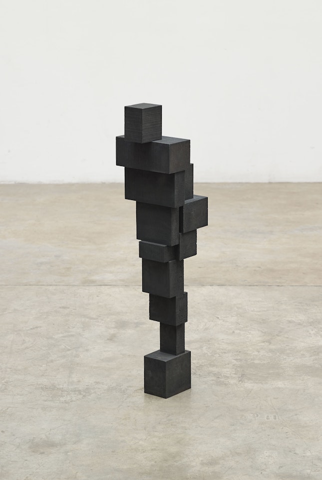 Small Shuck V by Antony Gormley