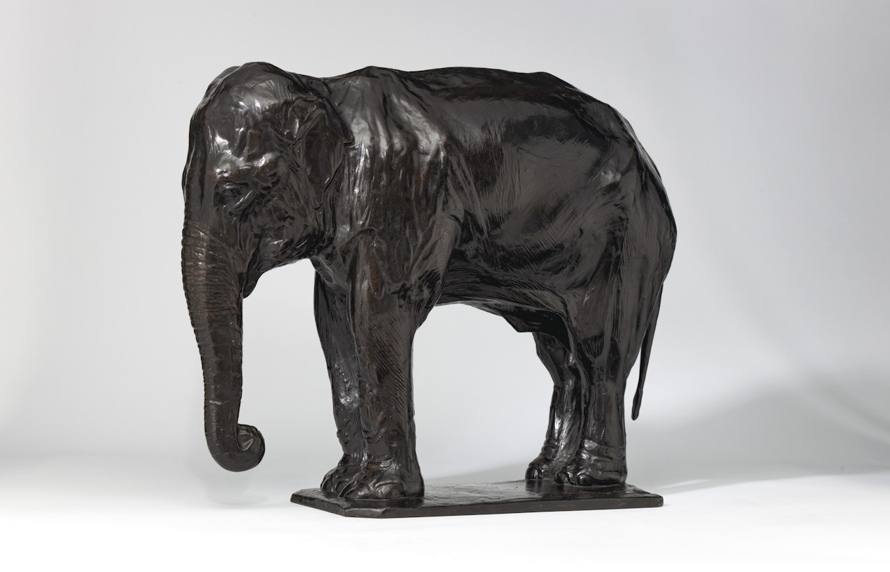 Éléphant au repos by Rembrandt Bugatti