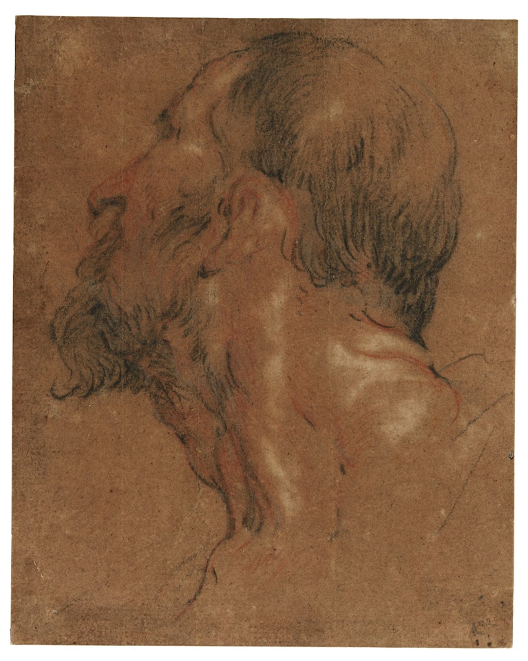 Head of a man, facing away to the left by Jacob Jordaens