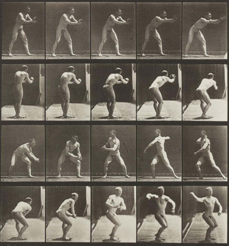 Selected Images (from Animal Locomotion) by Eadweard Muybridge