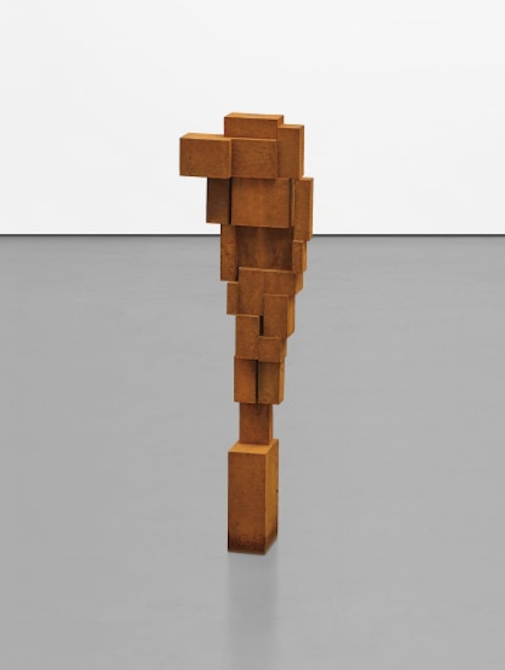 SMALL VEER 2 II by Antony Gormley