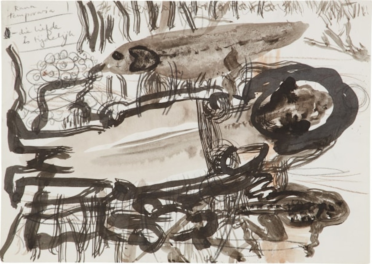 Rana Temporaria by Marlene Dumas