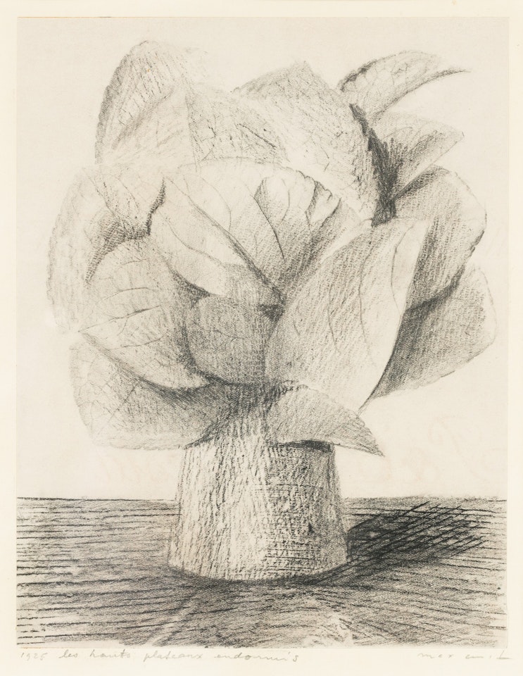 Les hauts plateaux endormis by Max Ernst