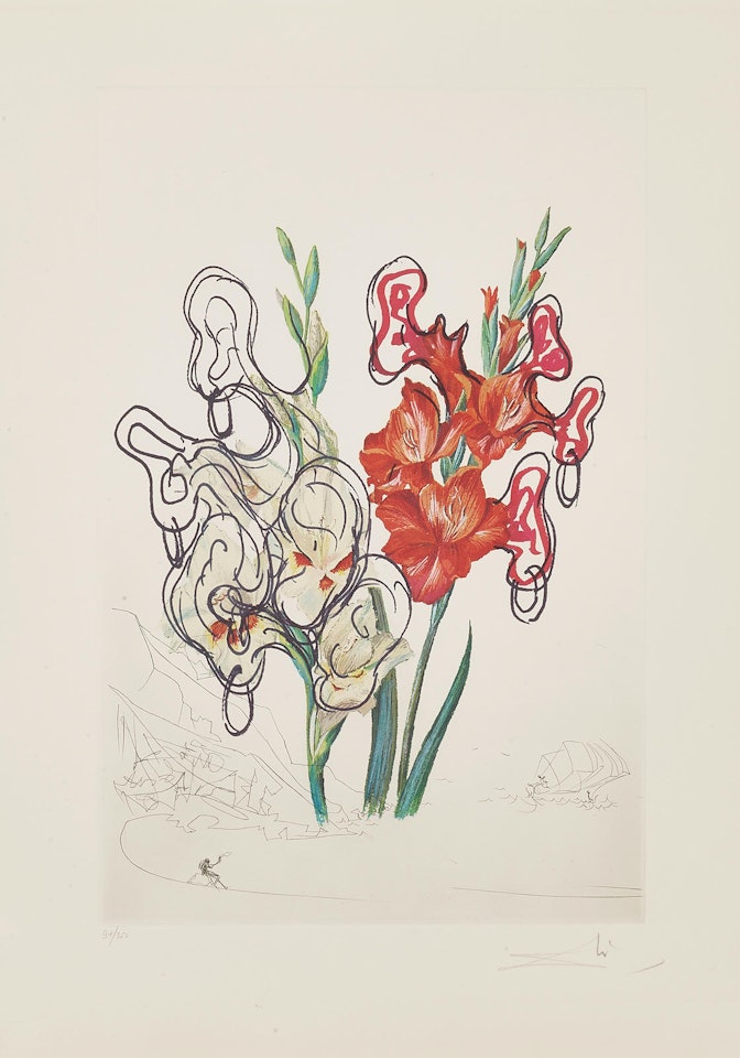 Gladiolus (ears), from Florals (F. 71-7G) by Salvador Dali