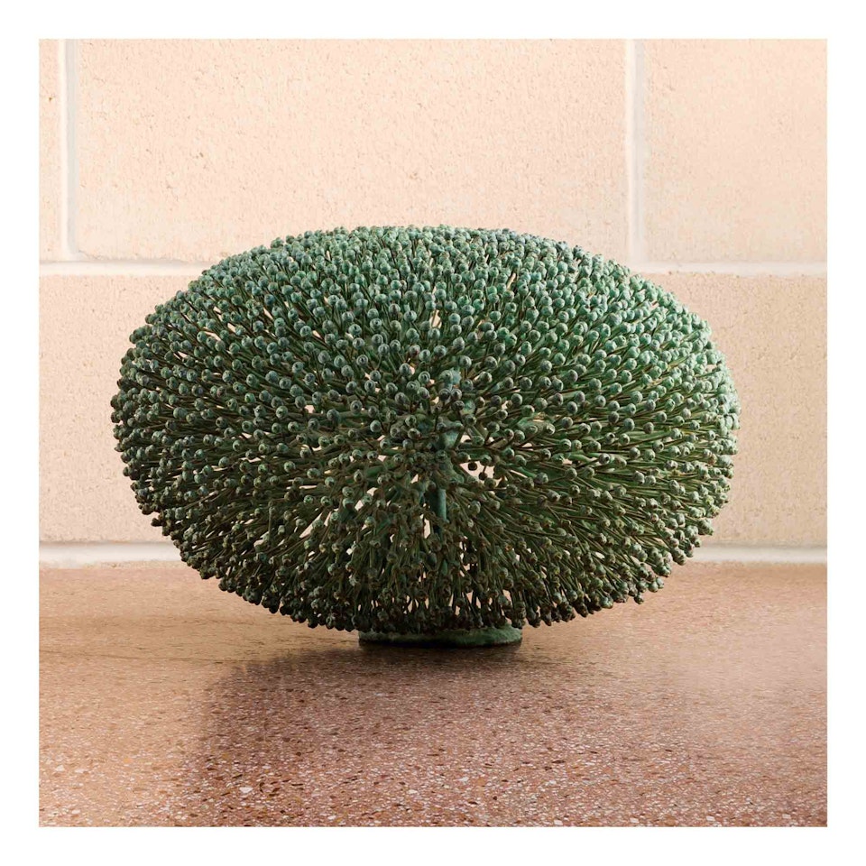 Untitled (Bush) by Harry Bertoia
