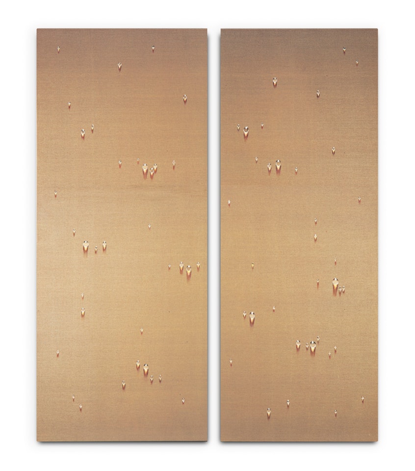 Waterdrops (diptych) by Kim Tschang-Yeul