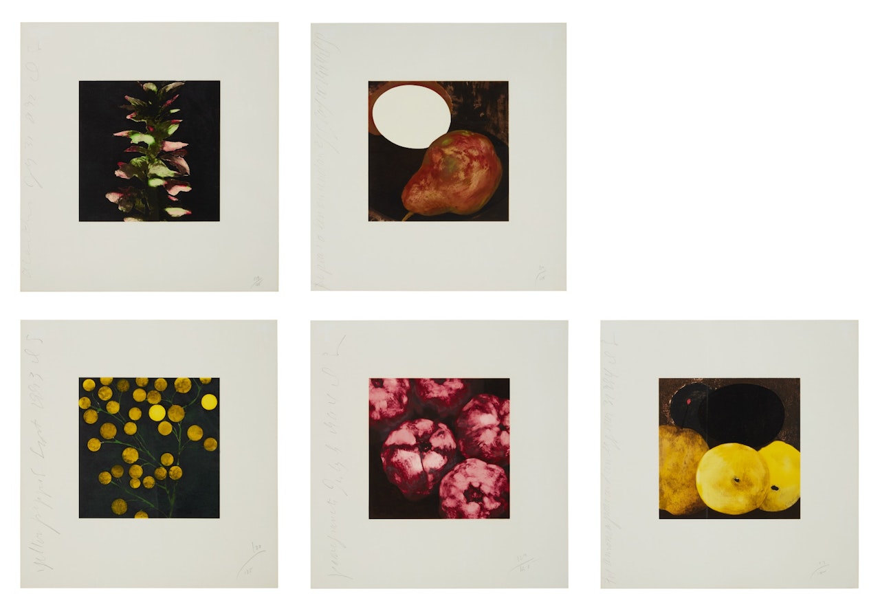 Acanthus; Two Pears, a Lemon and an Egg; Yellow Peppers; Pomegranates; and Fig, Lemons, a Pear and an Egg by Donald Sultan