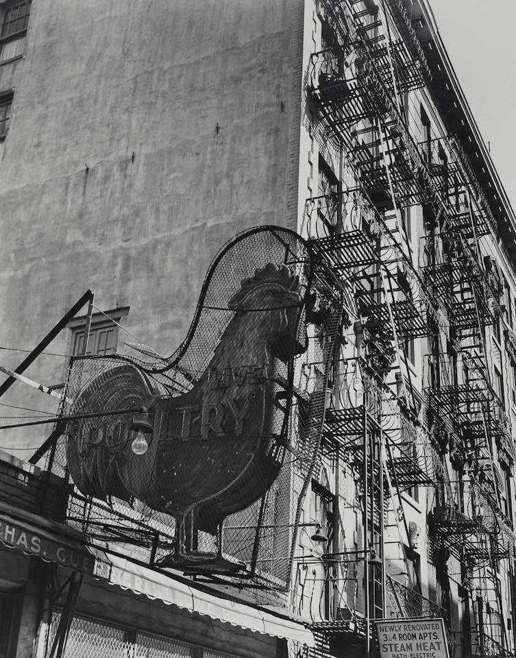 Poultry Store. East 7th Street, Manhattan by Berenice Abbott