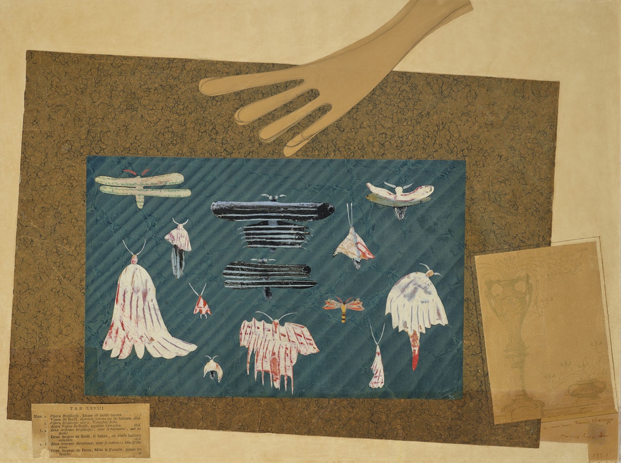 Ohne titel by Max Ernst